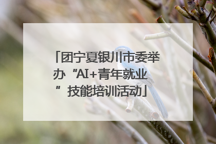 团宁夏银川市委举办“AI+青年就业”技能培训活动