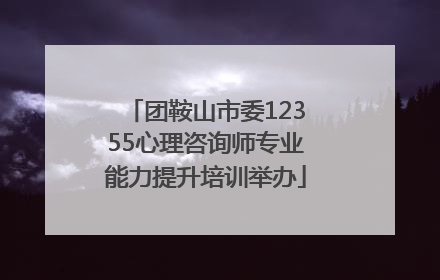 团鞍山市委12355心理咨询师专业能力提升培训举办