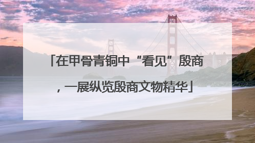 在甲骨青铜中“看见”殷商，一展纵览殷商文物精华