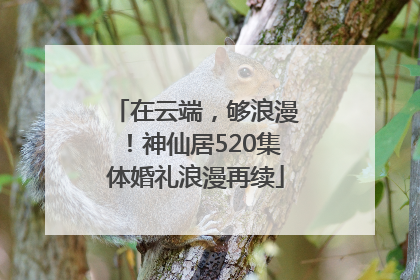 在云端，够浪漫！神仙居520集体婚礼浪漫再续