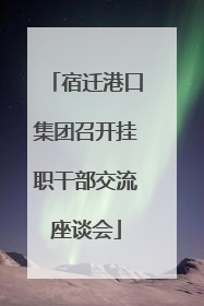宿迁港口集团召开挂职干部交流座谈会