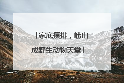 家底摸排，崂山成野生动物天堂