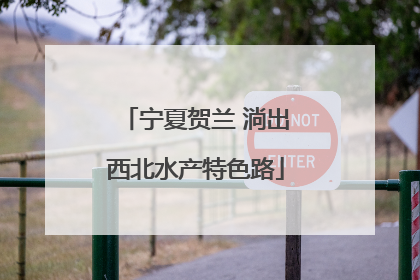 宁夏贺兰 淌出西北水产特色路