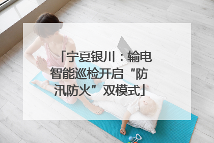 宁夏银川：输电智能巡检开启“防汛防火”双模式