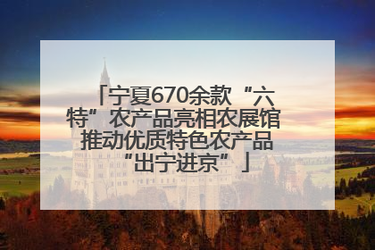 宁夏670余款“六特”农产品亮相农展馆 推动优质特色农产品“出宁进京”