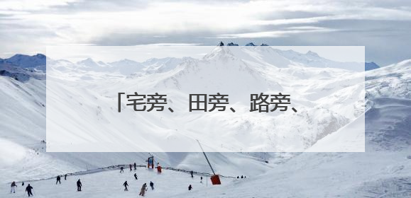宅旁、田旁、路旁、水旁，整治提升人居环境，这里从“一处美”向“全域美”蝶变