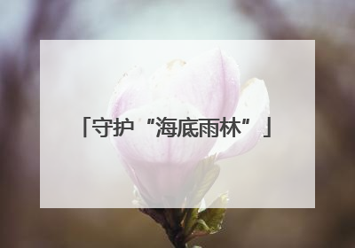 守护“海底雨林”