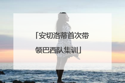 安切洛蒂首次带领巴西队集训