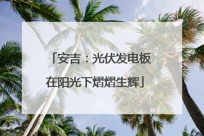 安吉：光伏发电板在阳光下熠熠生辉
