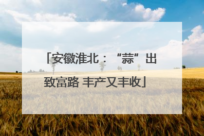 安徽淮北：“蒜”出致富路 丰产又丰收