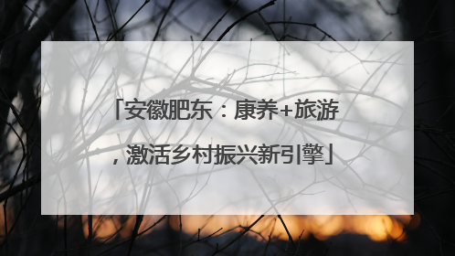 安徽肥东：康养+旅游，激活乡村振兴新引擎