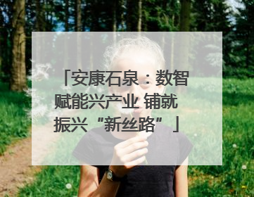 安康石泉：数智赋能兴产业 铺就振兴“新丝路”