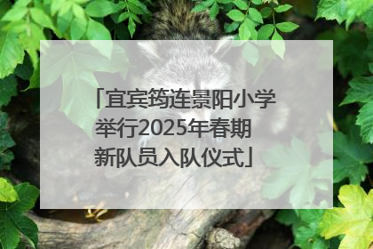 宜宾筠连景阳小学举行2025年春期新队员入队仪式