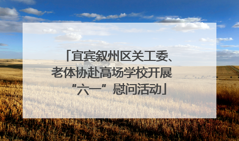 宜宾叙州区关工委、老体协赴高场学校开展“六一”慰问活动
