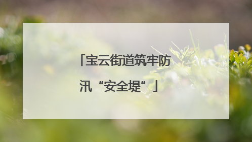 宝云街道筑牢防汛“安全堤”