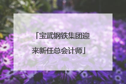 宝武钢铁集团迎来新任总会计师