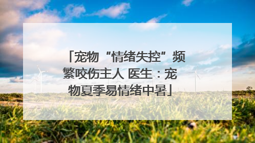宠物“情绪失控”频繁咬伤主人 医生：宠物夏季易情绪中暑