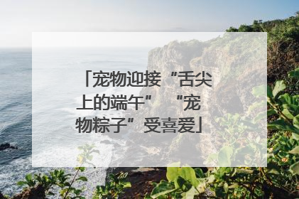 宠物迎接“舌尖上的端午” “宠物粽子”受喜爱