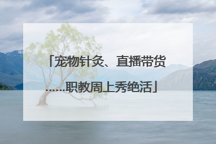 宠物针灸、直播带货……职教周上秀绝活