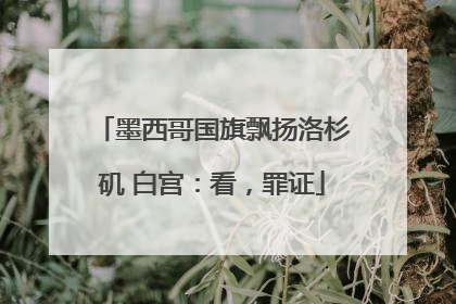 墨西哥国旗飘扬洛杉矶 白宫：看，罪证