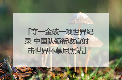 夺一金破一项世界纪录 中国队领衔收官射击世界杯慕尼黑站
