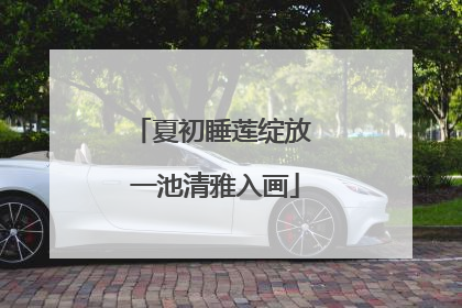 夏初睡莲绽放 一池清雅入画
