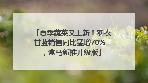 夏季蔬菜又上新！羽衣甘蓝销售同比猛增70%，盒马新推升级版