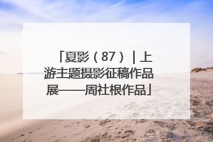 夏影（87）｜上游主题摄影征稿作品展——周社根作品