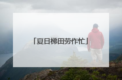 夏日梯田劳作忙