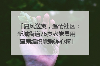 夏风送爽，温情社区：新城街道76岁老党员用蒲扇编织党群连心桥