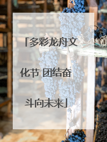 多彩龙舟文化节 团结奋斗向未来