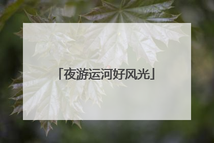 夜游运河好风光