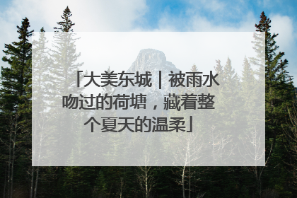 大美东城｜被雨水吻过的荷塘，藏着整个夏天的温柔