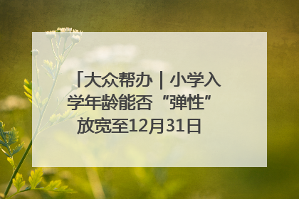 大众帮办｜小学入学年龄能否“弹性”放宽至12月31日？有地方已在探索