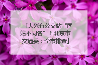 大兴有公交站“同站不同名”！北京市交通委：全市排查