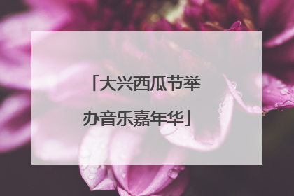 大兴西瓜节举办音乐嘉年华