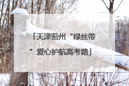 天津蓟州“绿丝带”爱心护航高考路