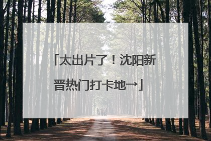 太出片了！沈阳新晋热门打卡地→