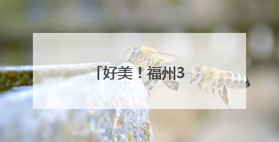 好美！福州3万株百合盛放