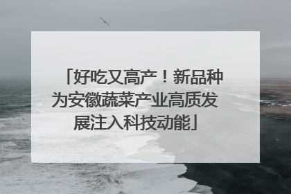 好吃又高产！新品种为安徽蔬菜产业高质发展注入科技动能