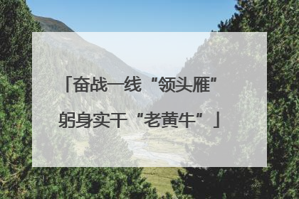 奋战一线“领头雁” 躬身实干“老黄牛”