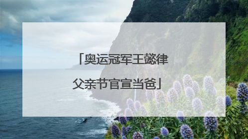 奥运冠军王懿律父亲节官宣当爸