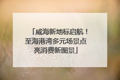 威海新地标启航！至海港湾多元场景点亮消费新图景