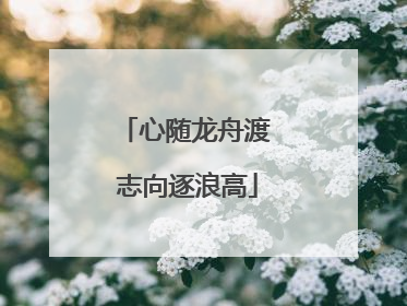 心随龙舟渡 志向逐浪高