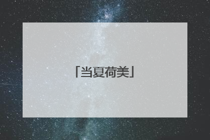 当夏荷美