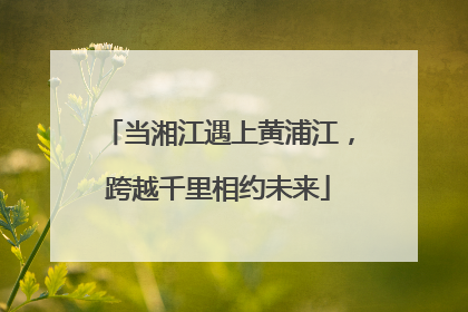 当湘江遇上黄浦江，跨越千里相约未来