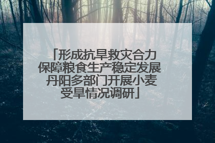 形成抗旱救灾合力 保障粮食生产稳定发展 丹阳多部门开展小麦受旱情况调研
