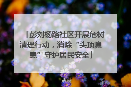 彭刘杨路社区开展危树清理行动，消除“头顶隐患”守护居民安全