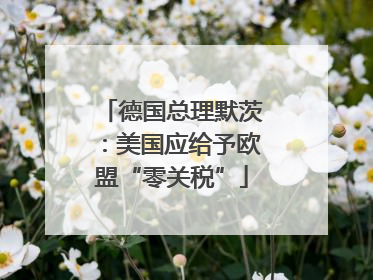 德国总理默茨：美国应给予欧盟“零关税”
