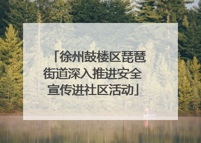 徐州鼓楼区琵琶街道深入推进安全宣传进社区活动